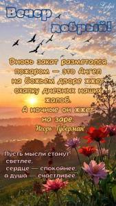 55079437115ba97afda06a30226b404a.jpg