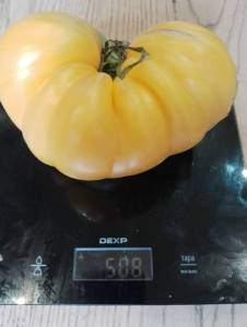 582114872_.thumb.jpg.bc894244086cf4b2c8c6bbbde7caa75d.jpg
