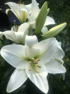 68BEEF9D-94D9-4F2E-8B6C-E46824C02D40.jpeg