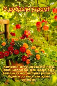 7088361782a6377c0484c6bae80a6940.jpg