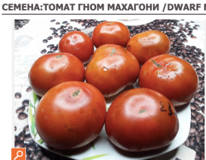 805790406_2026-08-2510_27_37.thumb.png.a0debdfe14e457c9e93e1924d4ab696a.png