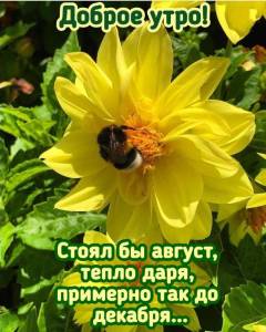 955540be87a773a2899dafcf9c04b189.jpg