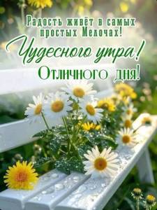 9c61867bfc2fcf6a17e010722240531e.jpg