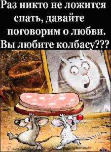 9d8bfc5ec2f77cf658be804234e823ae.jpg