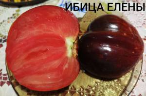 Compress_20260823_091511_1869.thumb.jpg.43630a68d454c56b717ea8928effeac2.jpg