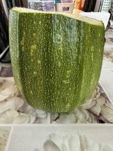 IMG_1277.jpeg