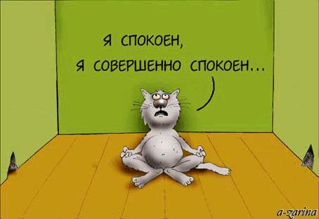IMG_1295.gif