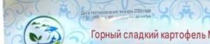 IMG_1365.jpeg