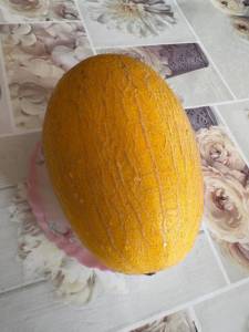 IMG_1378.jpeg