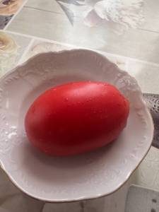 IMG_1394.jpeg