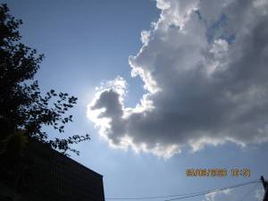 IMG_1419.thumb.JPG.8e1e7ac6ceddc87cb8110b762f854385.JPG