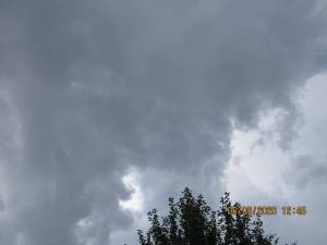 IMG_1420.thumb.JPG.48ef1b3f212160626657619058466fb3.JPG