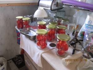 IMG_1469.thumb.JPG.7831b02bedce8dea6b5b6c2c88c81565.JPG