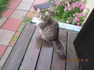 IMG_1473.thumb.JPG.dbcd30496c8326395486417f766f12dd.JPG
