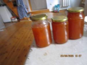 IMG_1491.thumb.JPG.0c841390334262b125500fc2724785ac.JPG