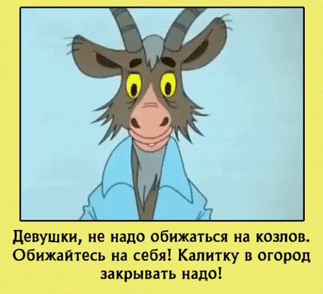IMG_1509.gif