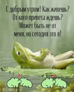IMG_1511.jpeg