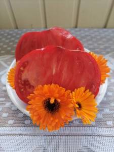 IMG_20250810_101621.thumb.jpg.d4b1bdd8bfa49ced894ff3dafb4b0aac.jpg
