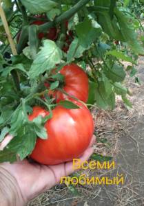 IMG_20260710_122115.jpg