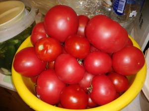 IMG_20260801_162556.thumb.jpg.83be3f5ea36fe7da09b2db8734edb407.jpg