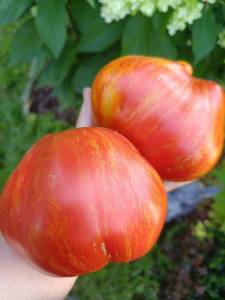 IMG_20260801_190220_616.thumb.jpg.7543a3d87b152f6bb67d87ff0aecf9bc.jpg