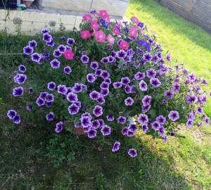 IMG_20260802_162606_20.jpg