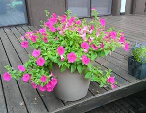 IMG_20260804_000944.jpg