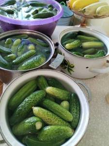 IMG_20260804_155629.thumb.jpg.9b643f8d118af3e99f830629cf6f90aa.jpg