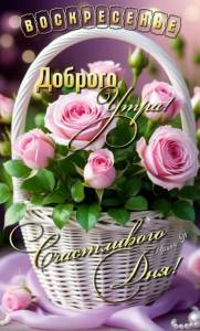 IMG_20260809_075532_256.jpg