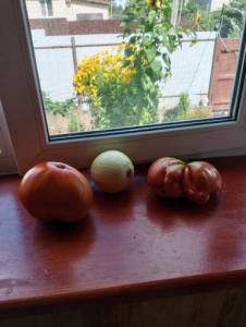 IMG_20260810_105837.jpg