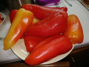IMG_20260810_155333.thumb.jpg.b7ddbdd6cac7c3186a34ee26755d1b11.jpg