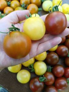 IMG_20260810_214554_053.thumb.jpg.86cb6d25679336b9e1ee0904abaa3abc.jpg