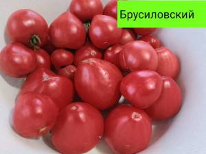 IMG_20260812_082615.thumb.jpg.6ec8bd1867b7fef8d22d89f32511cb85.jpg