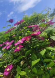IMG_20260813_200028.jpg