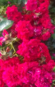 IMG_20260813_200102.jpg
