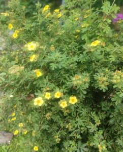 IMG_20260813_200339.jpg