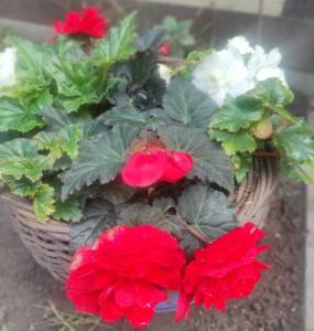 IMG_20260813_200515.jpg
