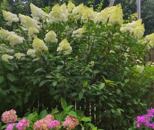 IMG_20260813_201119.jpg