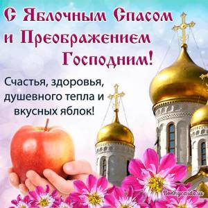 IMG_20260818_085045_432.jpg