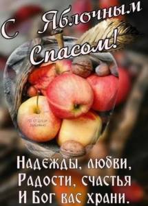 IMG_20260819_071642.jpg