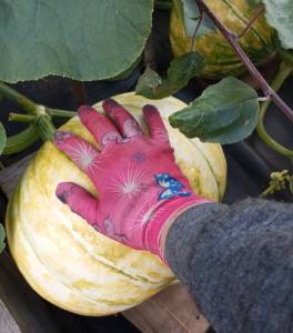 IMG_20260822_182106.thumb.jpg.63081c5b2592ea62fbe92e3d2184d2de.jpg