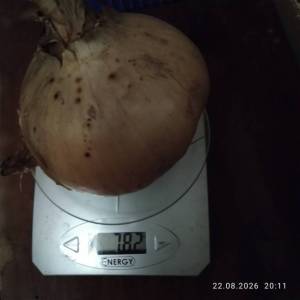 IMG_20260822_201155.thumb.jpg.49c6248c37eac1d694b437d2f0843b75.jpg
