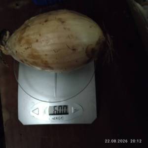 IMG_20260822_201216.thumb.jpg.138621ff21ae6d9d9808beb0d55aa941.jpg