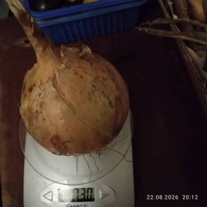 IMG_20260822_201237.thumb.jpg.6f70457d7ba6fc8b44aea6fd304b6af8.jpg