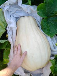 IMG_20260824_000815_747.thumb.jpg.270880a0ab8879ee297c41bd053f73b4.jpg