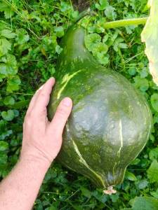 IMG_20260824_000815_794.thumb.jpg.4a2633c8db06facc98df48f3c786ea37.jpg