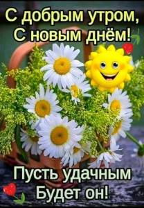 IMG_20260825_075218_786.jpg