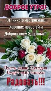 IMG_20260826_084504_334.jpg