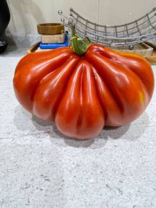 IMG_2293.thumb.jpeg.f7b6eef3a90efb462d4fafb98e4516e0.jpeg