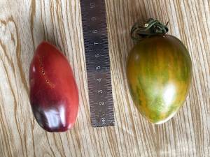 IMG_2443.jpeg